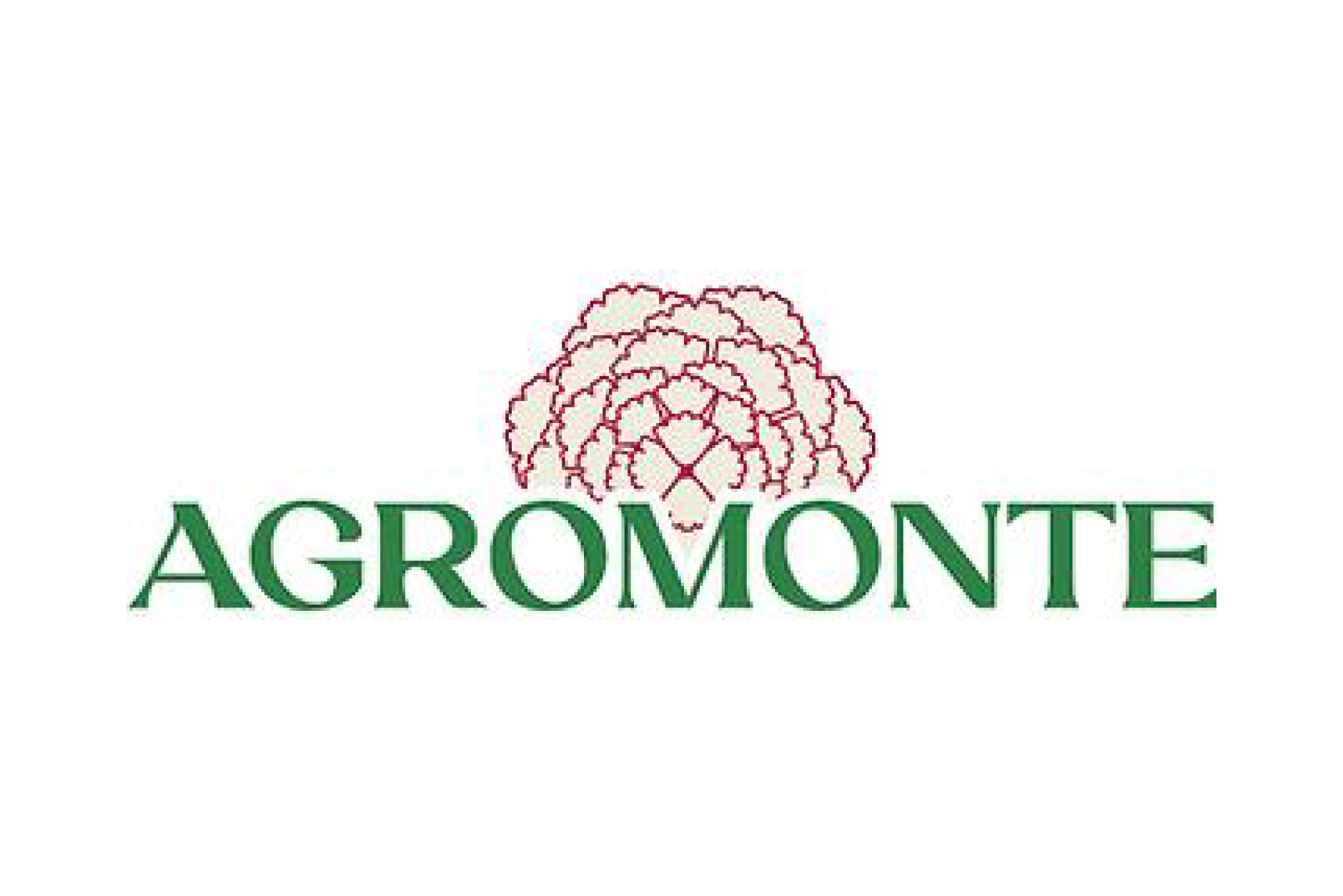 Tika_clientes_final-05