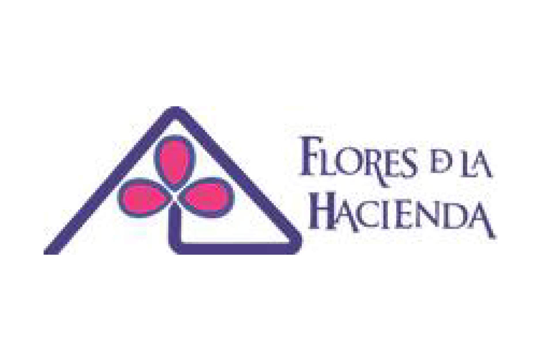 Tika_clientes_final-06